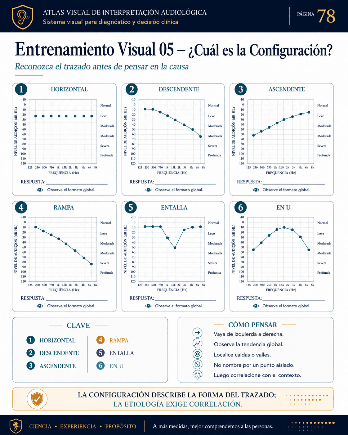 Recurso visual de Audiología 08